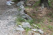 137 - Maligne Canyon, Medicine Lake, Maligne Lake - IMG_1225